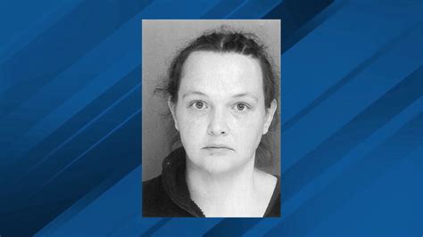 Police: Mother charged for beating children with bat, home ...